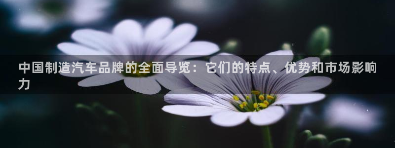 彩神vip购彩大厅：中国制造汽车品牌的全面导览：它们的特点、