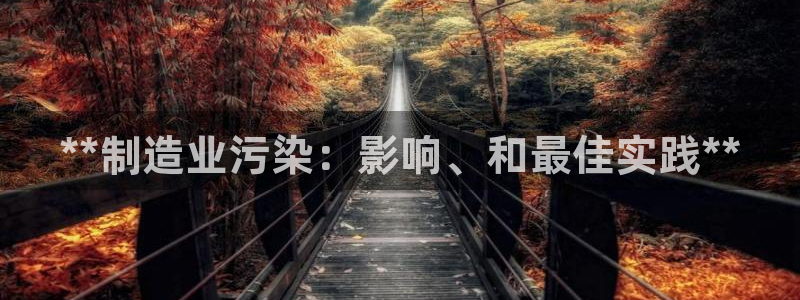 彩神是什么平台的游戏：**制造业污染：影响、和最佳实践**