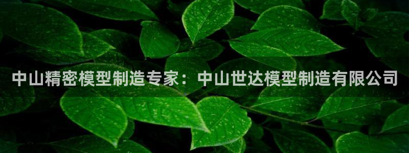 新版彩神v8登录不了：中山精密模型制造专家：中山世达模型制造
