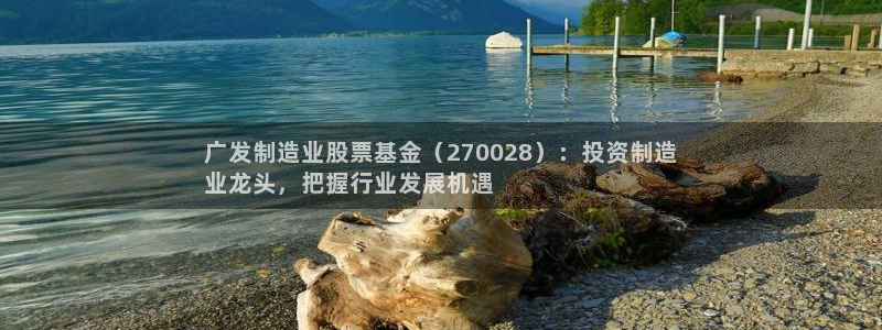彩神通官方网：广发制造业股票基金（270028）：投资制造
业龙头，把握行业发展机遇