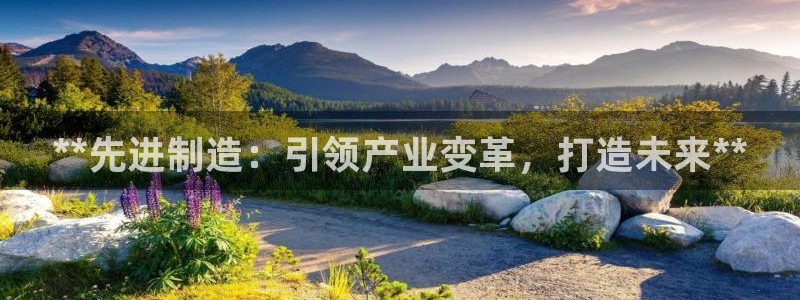 彩神v8平台正规吗安全吗：**先进制造：引领产业变革，打造未来**
