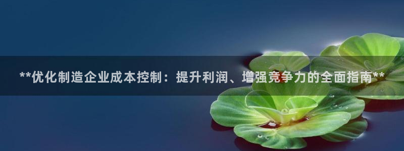 彩神争霸官方登录：**优化制造企业成本控制：提升利润、增强竞争力的全面指南**