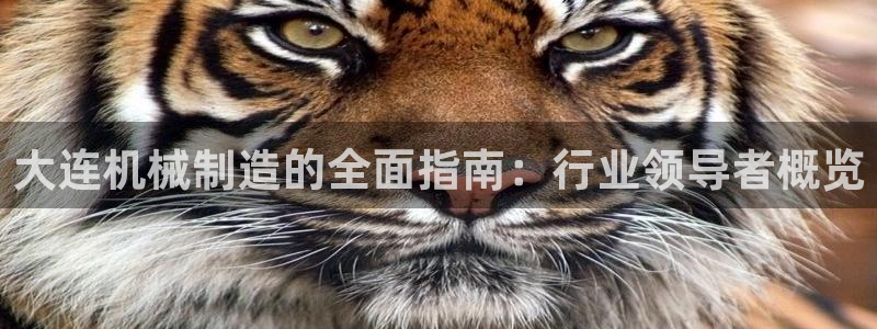 彩神网可以赚钱是真的吗：大连机械制造的全面指南：行业领导者概览