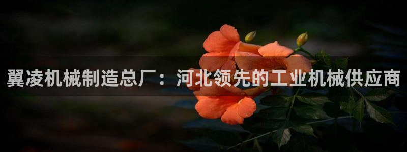 彩神v彩搜狗：翼凌机械制造总厂：河北领先的工业机械供应商