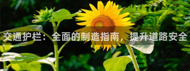 所有彩神购买首页：交通护栏：全面的制造指南，提升道路安全