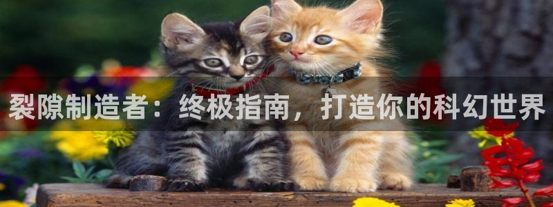 彩神平台