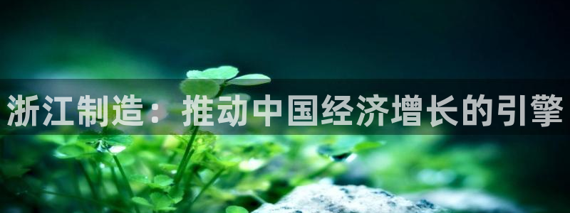 彩神可以提现吗：浙江制造：推动中国经济增长的引擎