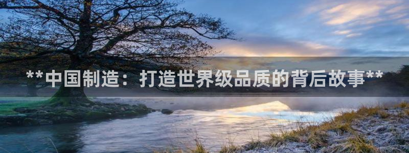 彩神平台：**中国制造：打造世界级品质的背后故事**