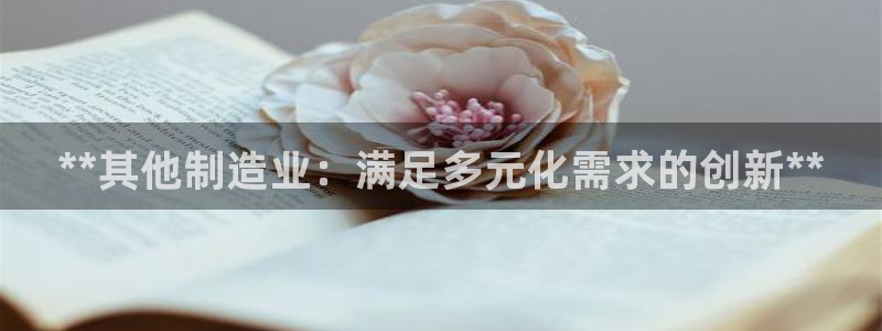 所有彩神购买首页都一样吗：**其他制造业：满足多元化需求的创新**