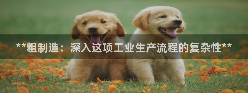 彩神ix是真的吗：**粗制造：深入这项工业生产流程的复杂性**
