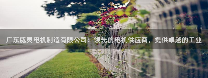 彩神争霸官方下载：广东威灵电机制造有限公司：领先的电机供应商，提供卓越的工业
