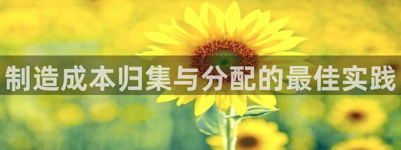 彩神v平台：制造成本归集与分配的最佳实践
