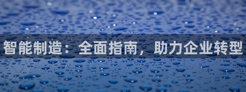 彩神购彩-购彩大厅入口下载：智能制造：全面指南，助力企业转型