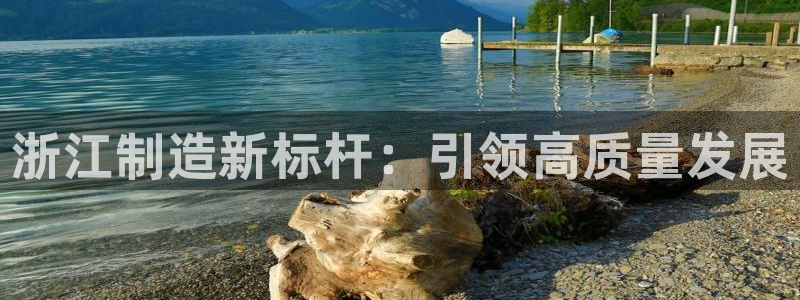 下载彩神争霸谁与我争锋：浙江制造新标杆：引领高质量发展
