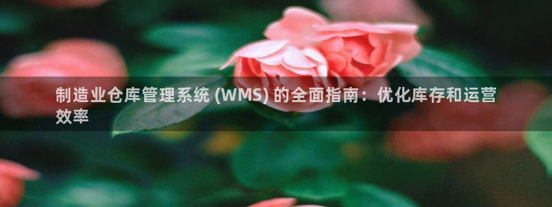 彩神v8下载：制造业仓库管理系统 (WMS) 的全面指南：优化库存和运营
效率