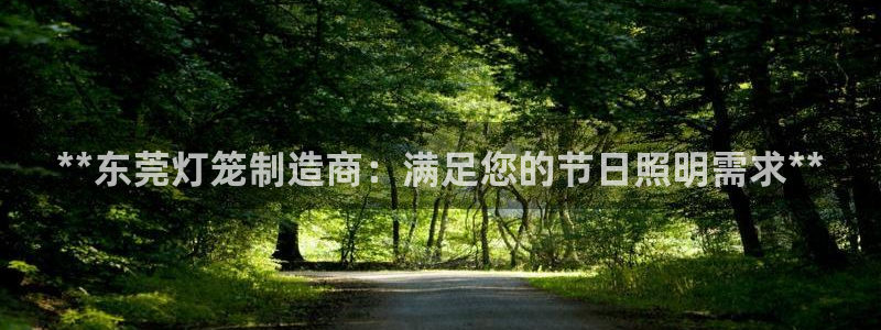 彩神平台能提现吗：**东莞灯笼制造商：满足您的节日照明需求**