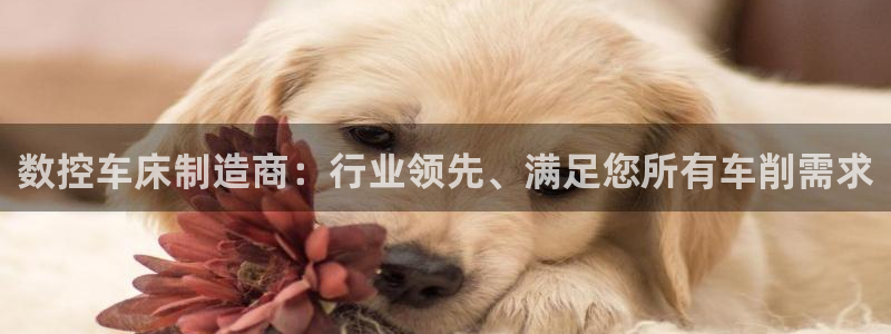 彩神iv是正规平台吗?：数控车床制造商：行业领先、满足您所有车削需求