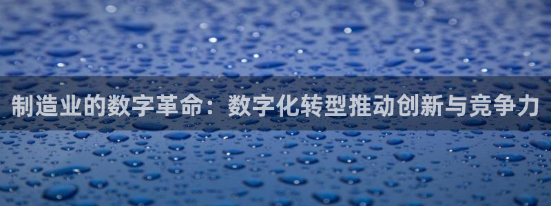彩神数码科技有限公司：制造业的数字革命：数字化转型推动创新与竞争力