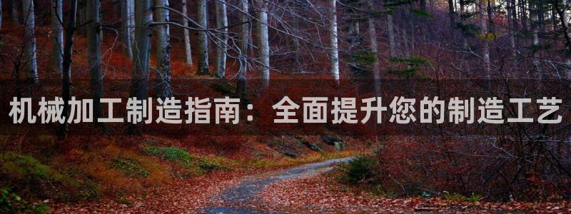彩神v8下载app5.0：机械加工制造指南：全面提升您的制造