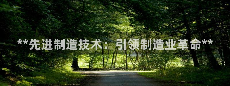 彩神大发云：**先进制造技术：引领制造业革命**