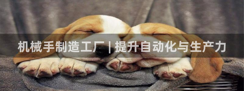 彩神v|：机械手制造工厂 | 提升自动化与生产力