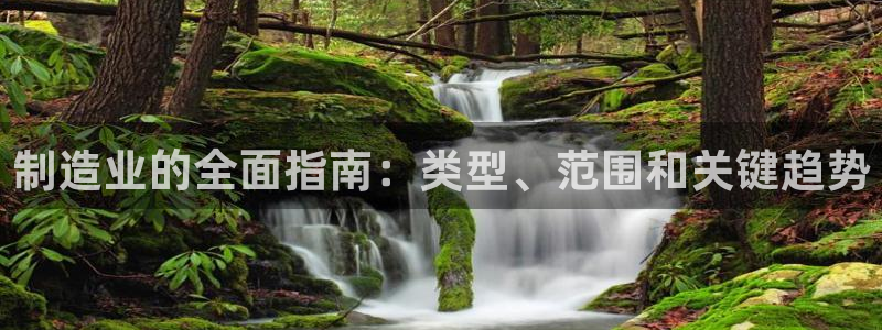 彩神大发云