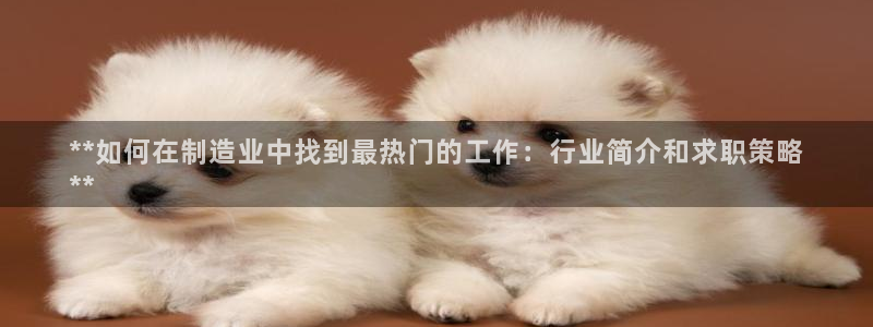 彩神正规吗：**如何在制造业中找到最热门的工作：行业简介和求职策略
**