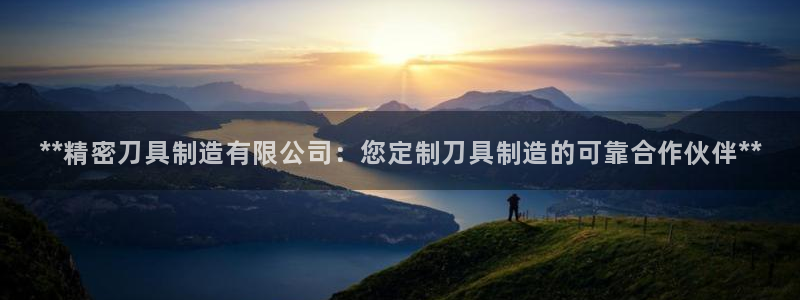 彩神v8手机客户端下载：**精密刀具制造有限公司：您定制刀具制造的可靠合作伙伴**