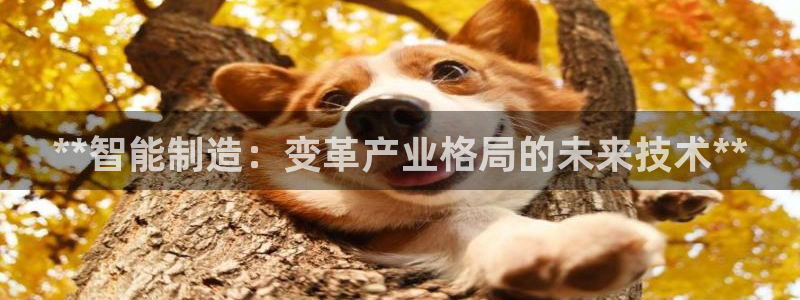 彩神vip官方网站：**智能制造：变革产业格局的未来技术**