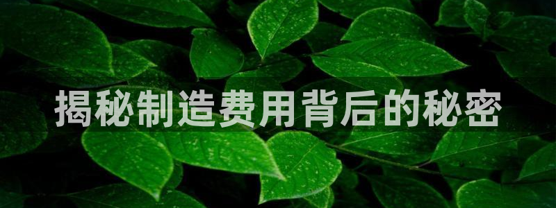 彩神v集团有限公司