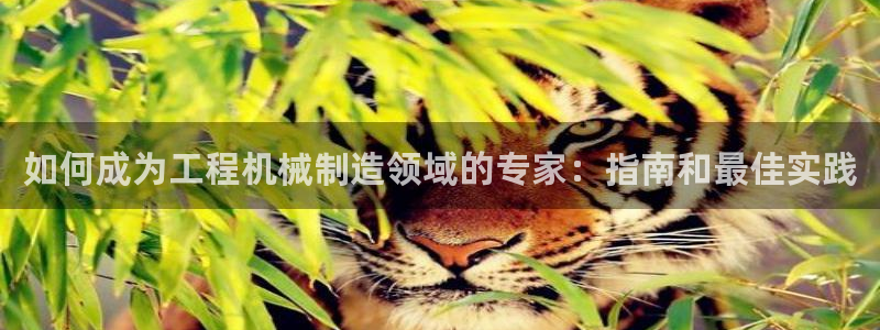 彩神8是正规平台吗是正品吗：如何成为工程机械制造领域的专家：