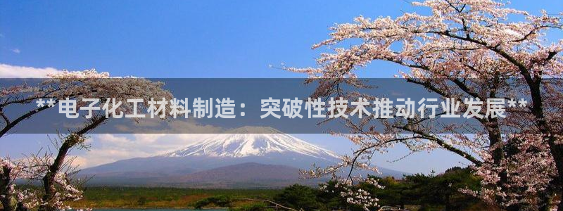 彩神V8有限公司：**电子化工材料制造：突破性技术推动行业发展**