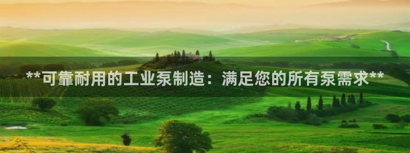 彩神网合法吗：**可靠耐用的工业泵制造：满足您的所有泵需求**