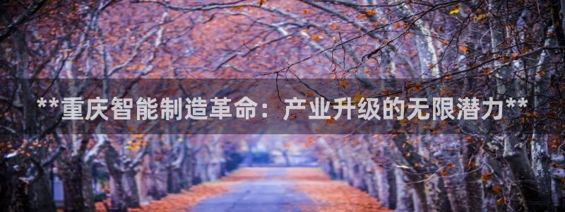 新版彩神v8登录：**重庆智能制造革命：产业升级的无限潜力*