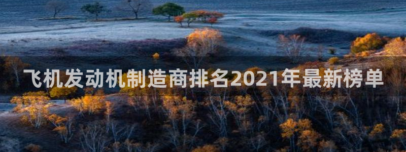 新版彩神v8登录不上去：飞机发动机制造商排名2021年最新榜单