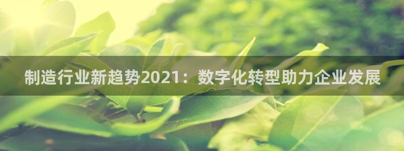 彩神vll官网-最新版app下载：制造行业新趋势2021：数字化转型助力企业发展