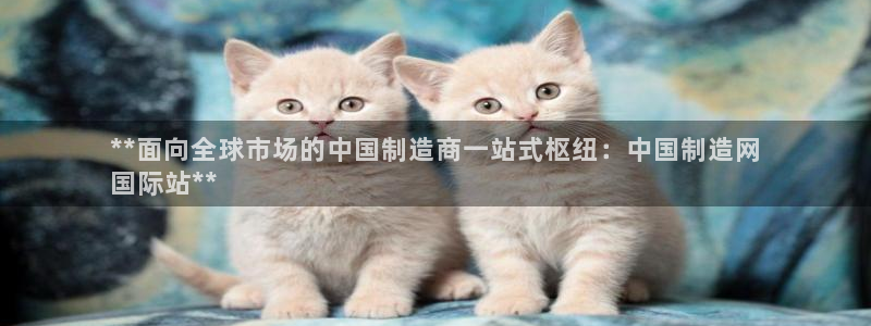 彩神赢的钱是哪里来的啊：**面向全球市场的中国制造商一站式枢纽：中国制造网
国际站**