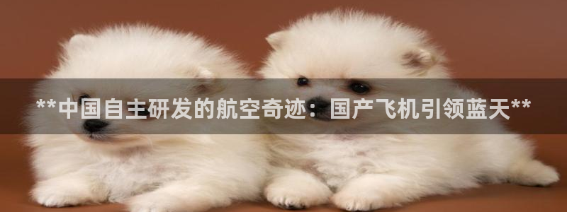 彩神vlll官网网上购彩：**中国自主研发的航空奇迹：国产飞机引领蓝天**