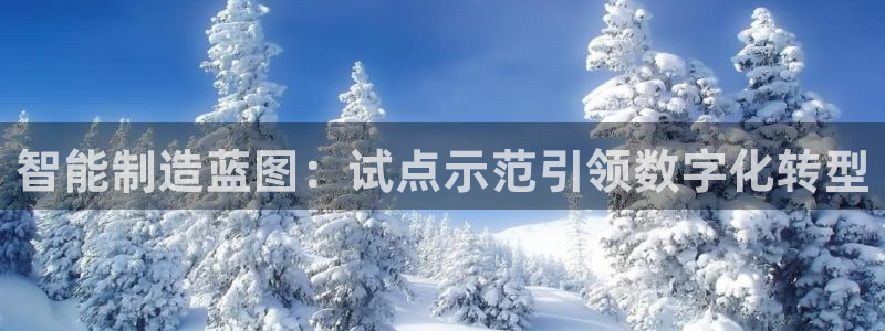 彩神vlll官方网：智能制造蓝图：试点示范引领数字化转型