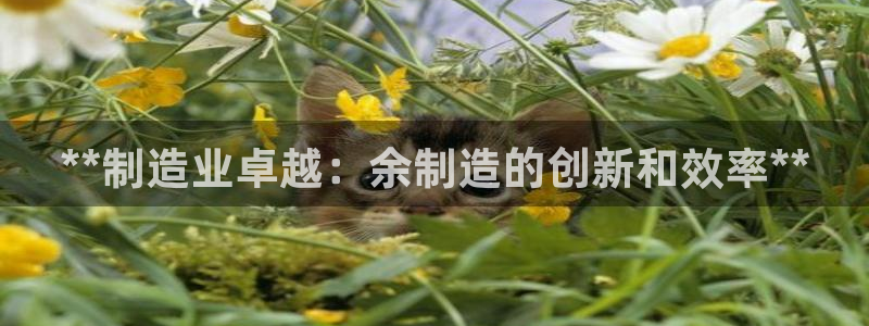 彩神v下载安装：**制造业卓越：余制造的创新和效率**
