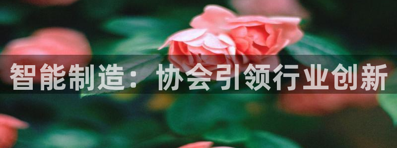 彩神v违法么：智能制造：协会引领行业创新