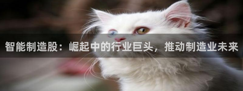 彩神旗下有哪些平台