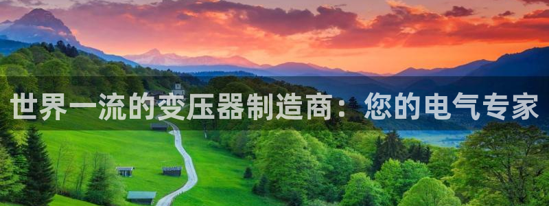 彩神盈利图片：世界一流的变压器制造商：您的电气专家