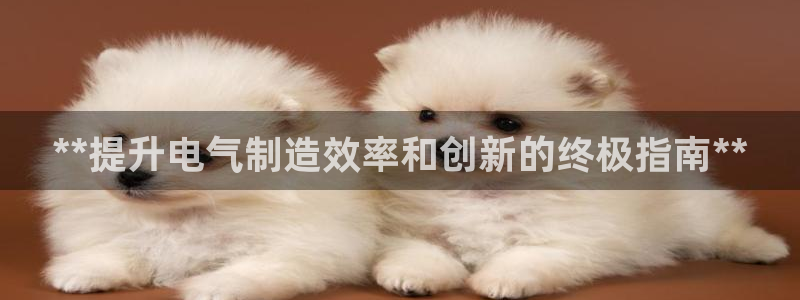 彩神购彩购彩大厅入口v：**提升电气制造效率和创新的终极指南**
