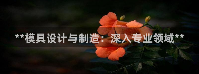 彩神购彩-购彩大厅入口计划群：**模具设计与制造：深入专业领域**