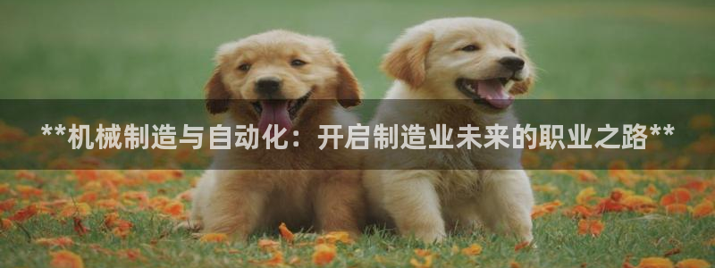 彩神vll官网在线登录：**机械制造与自动化：开启制造业未来的职业之路**
