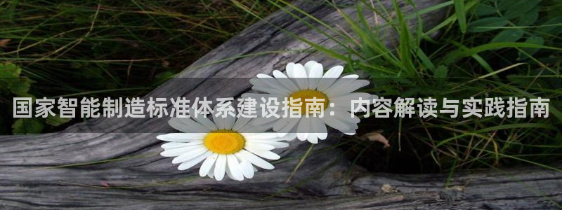 彩神v8是真的挣钱吗知乎：国家智能制造标准体系建设指南：内容解读与实践指南