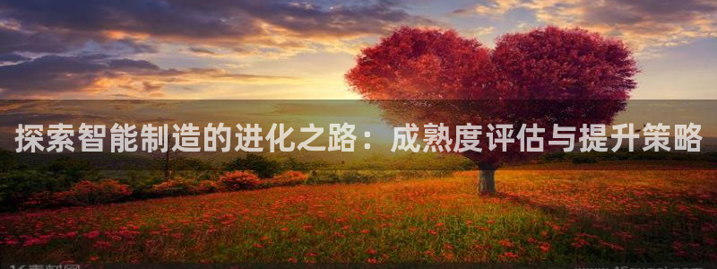 彩神VII官方版：探索智能制造的进化之路：成熟度评估与提升策略