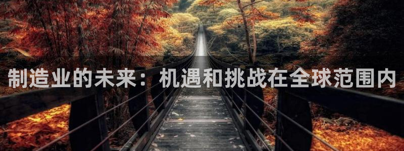 彩神ii官方网：制造业的未来：机遇和挑战在全球范围内