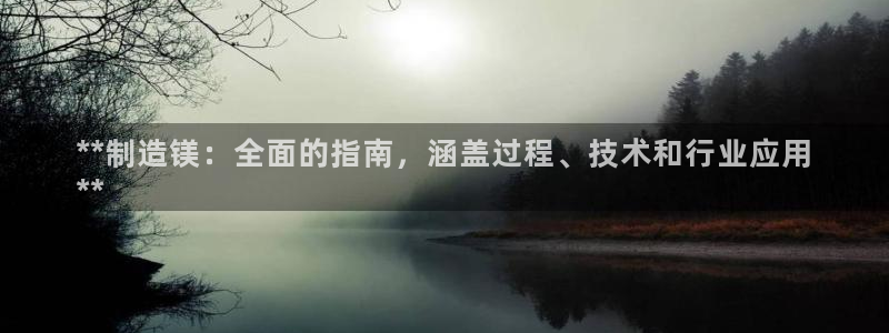 彩神app赚钱是真是假：**制造镁：全面的指南，涵盖过程、技